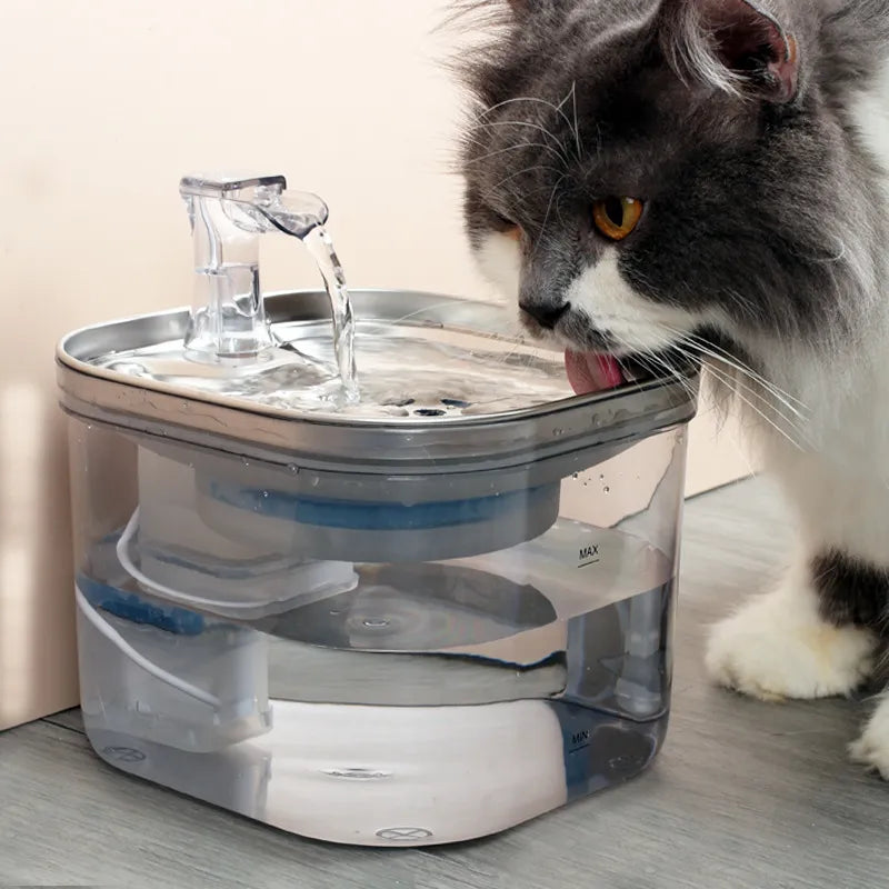 Whisper 2.2L Filtered Water Fountain for Cats & Small Dogs
