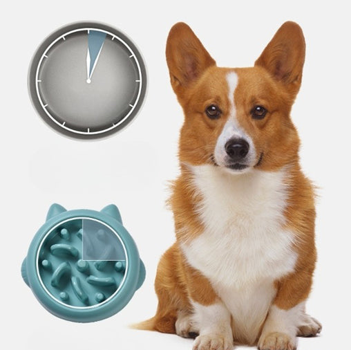 Slow feeder bowl for cats and dogs with maze design