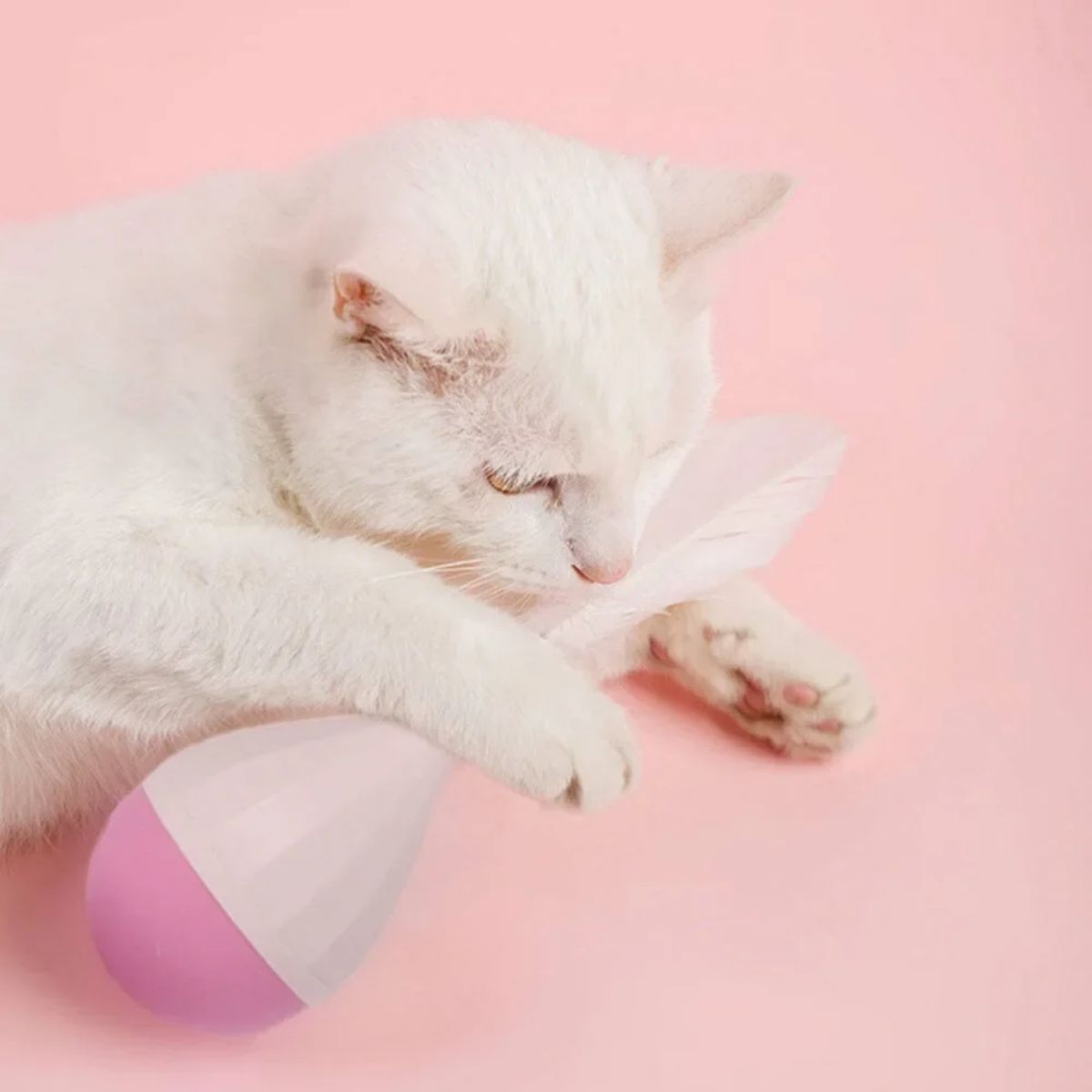 Wobble Tumbler — Interactive Cat Toy